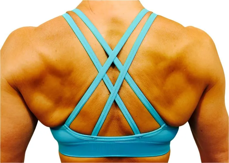 XOXO Double Strap Seamless Sports Bra